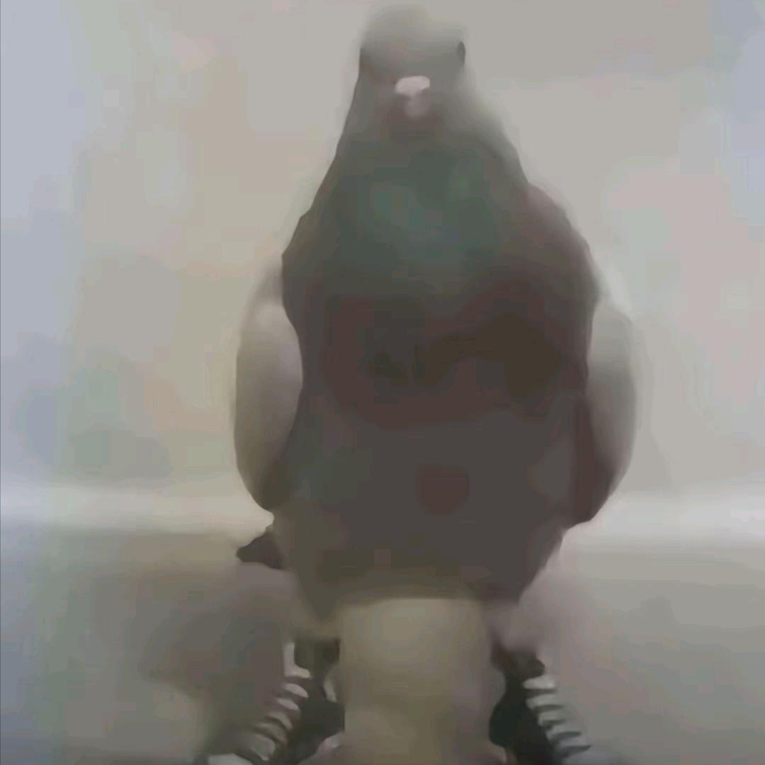 一根聪