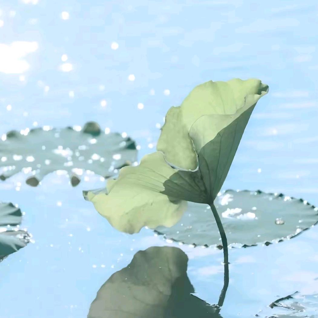 就不买宝石