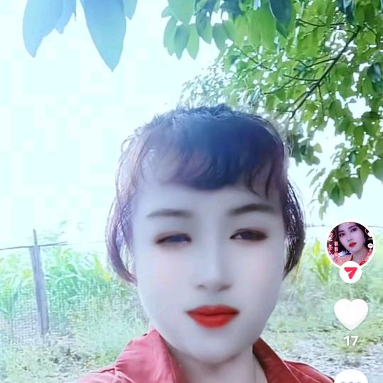木兰花开
