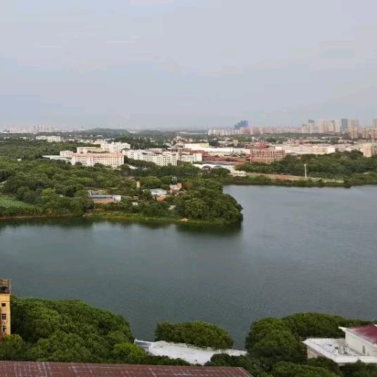 南昌好房（红谷滩地铁口精选）