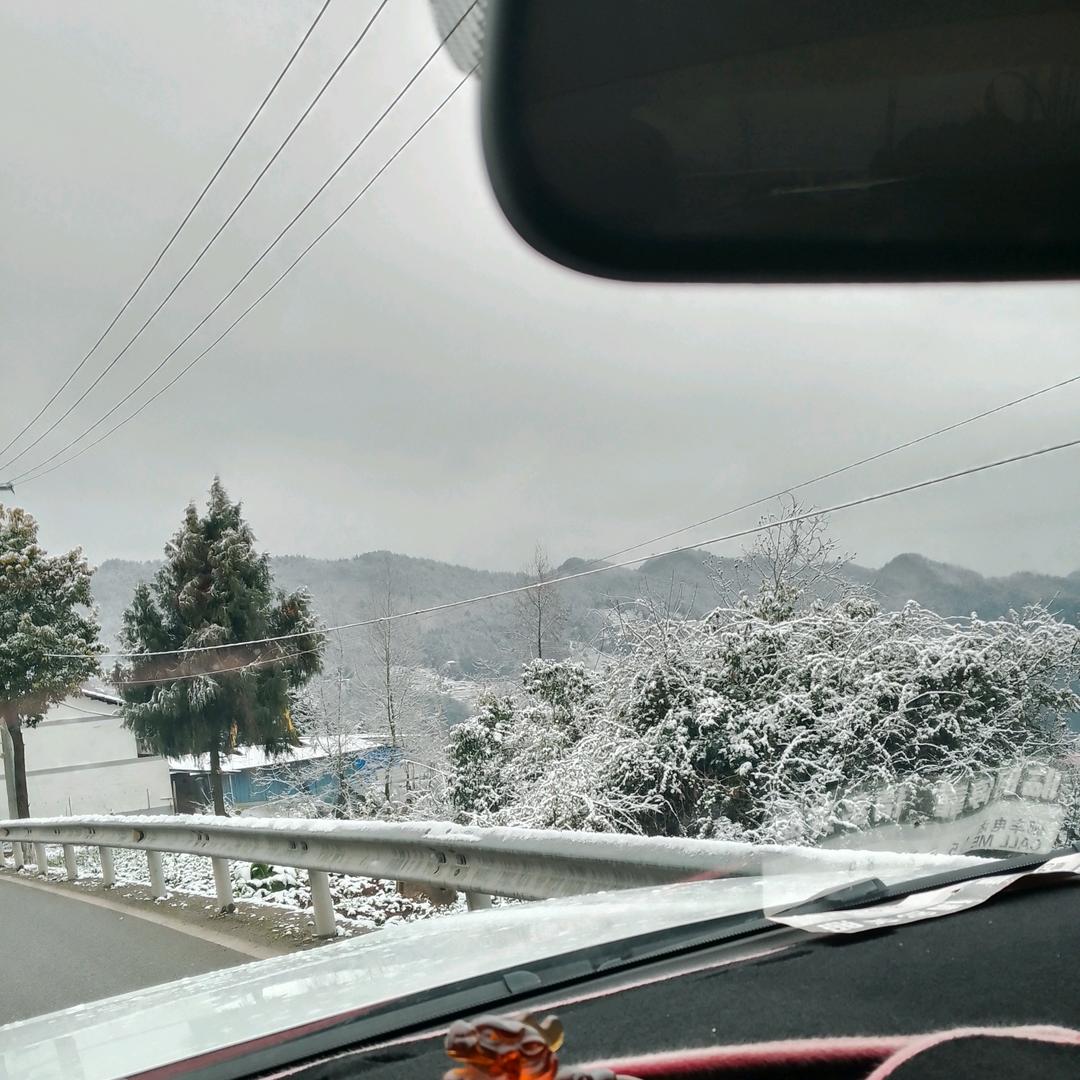 龙亭虎跃