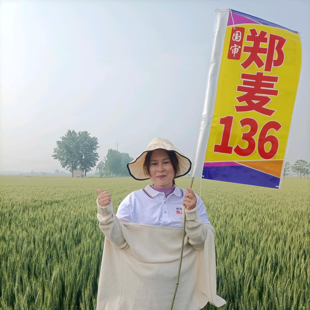 召陵区万金镇丰瑞农资店