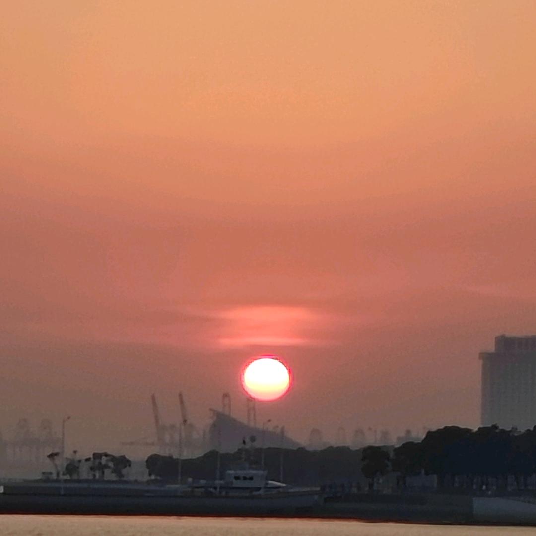 深圳水贝东升黄鱼