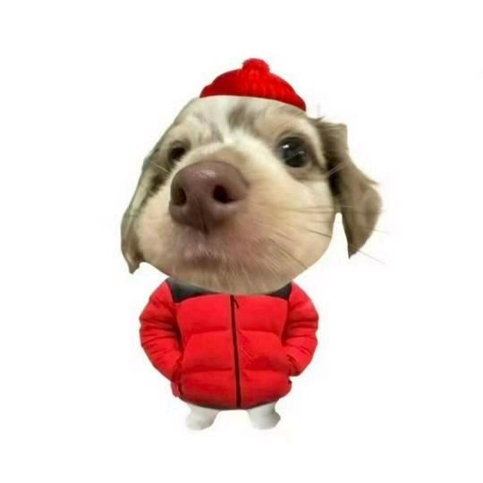 你少给我装深情、