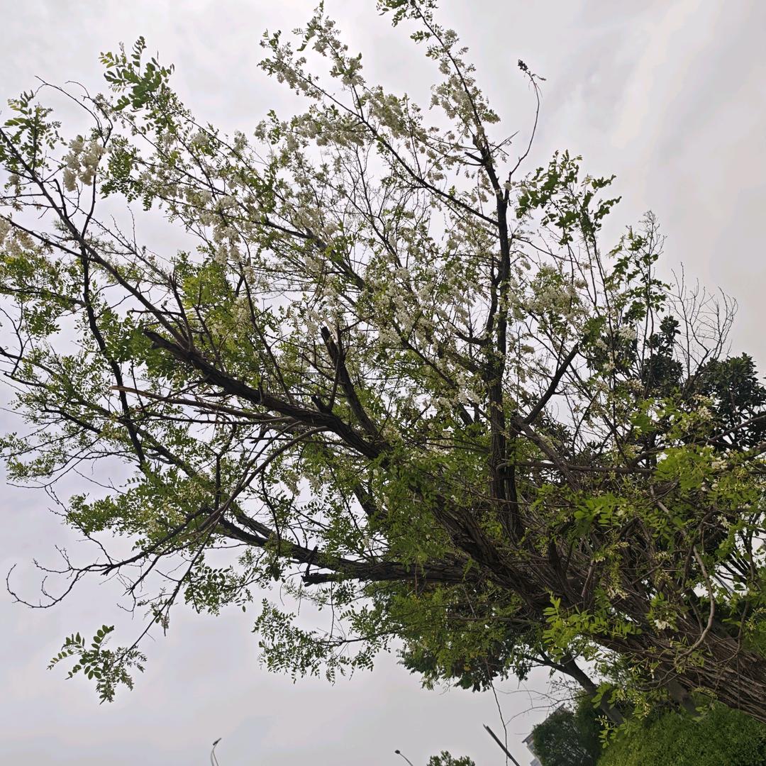 用户76884935884688