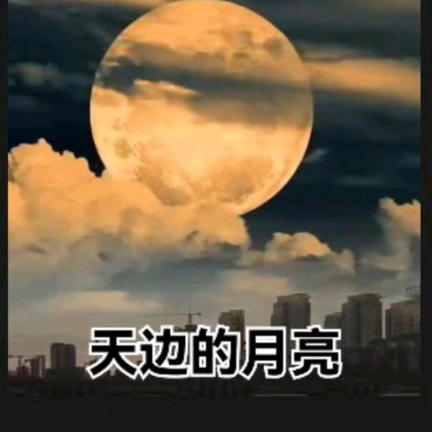 挽个角度看世界，