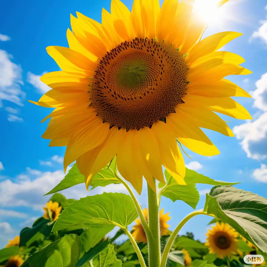 ໑ຼₒ₂₅ღ好运加满⁺¹⁰⁰🍀