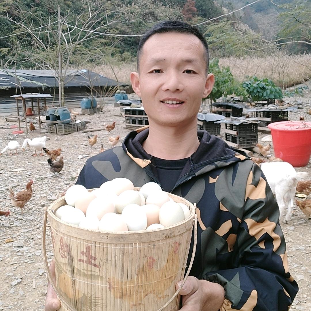 爱搞笑的养鸡人