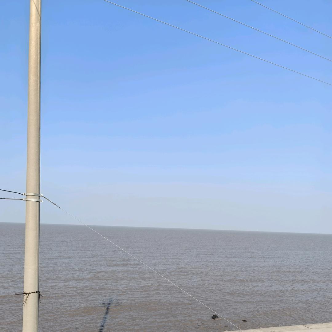 浮萍浪梗