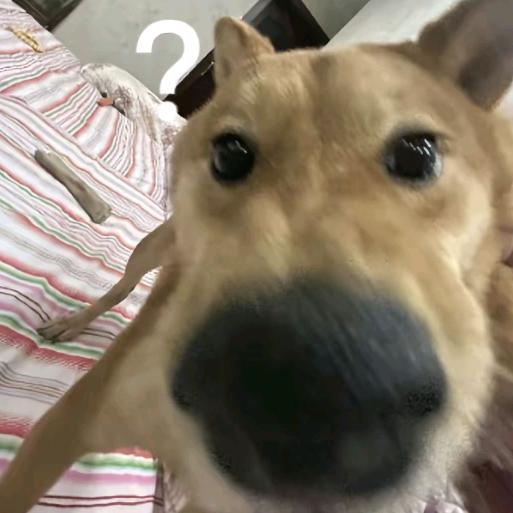 凑一块