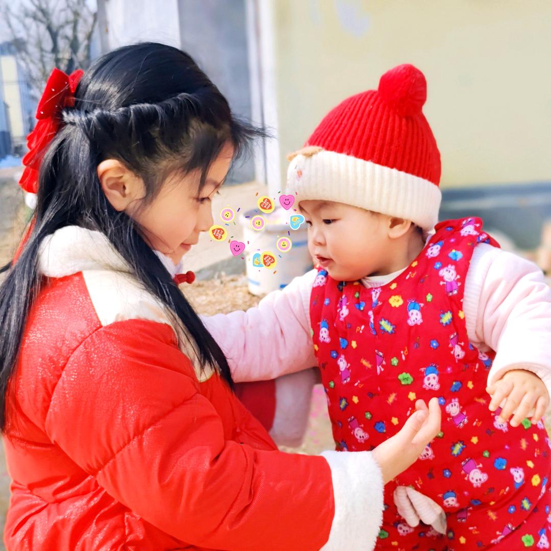 白杨