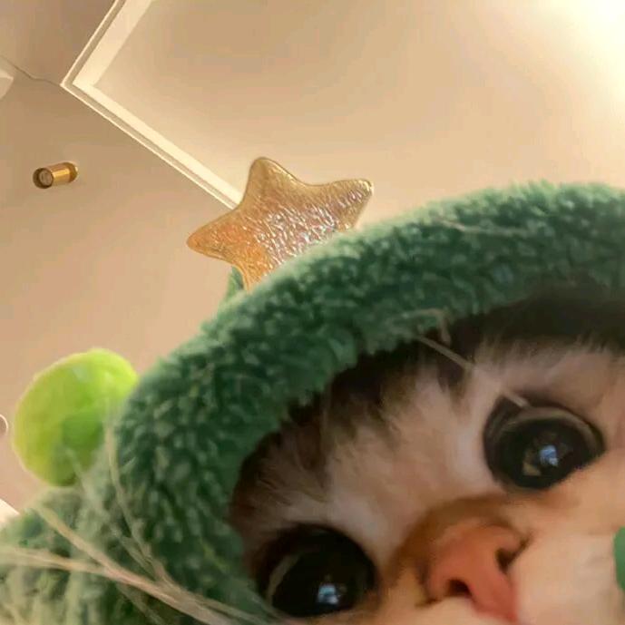 屿矇