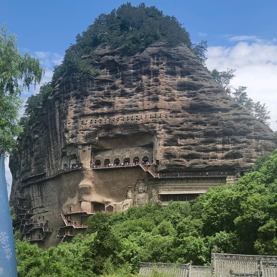 浪狼龙哥
