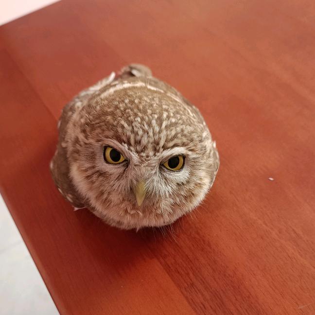 犄角旮旯  “吥惪”