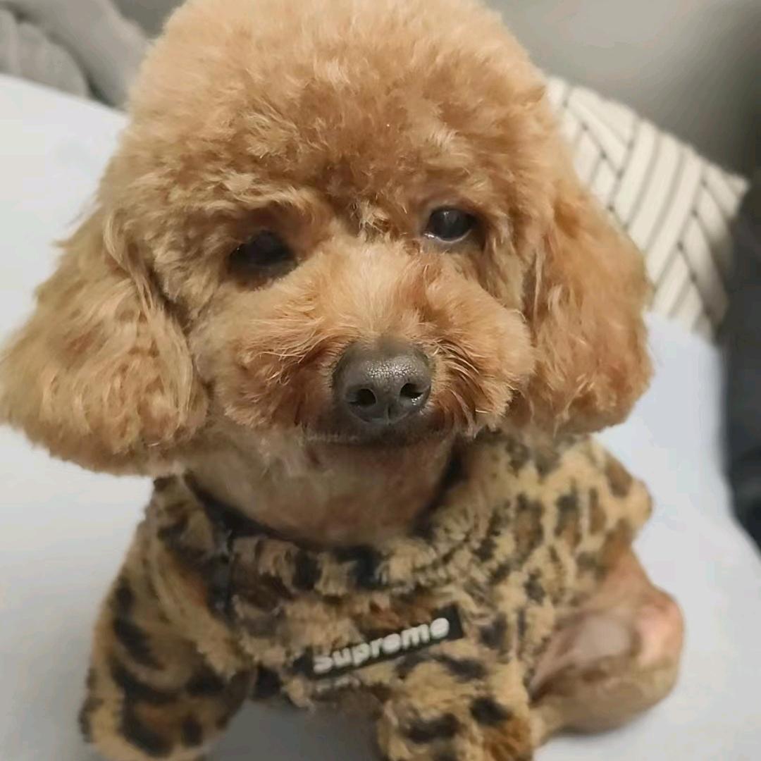 想你是不能改变得<单身)