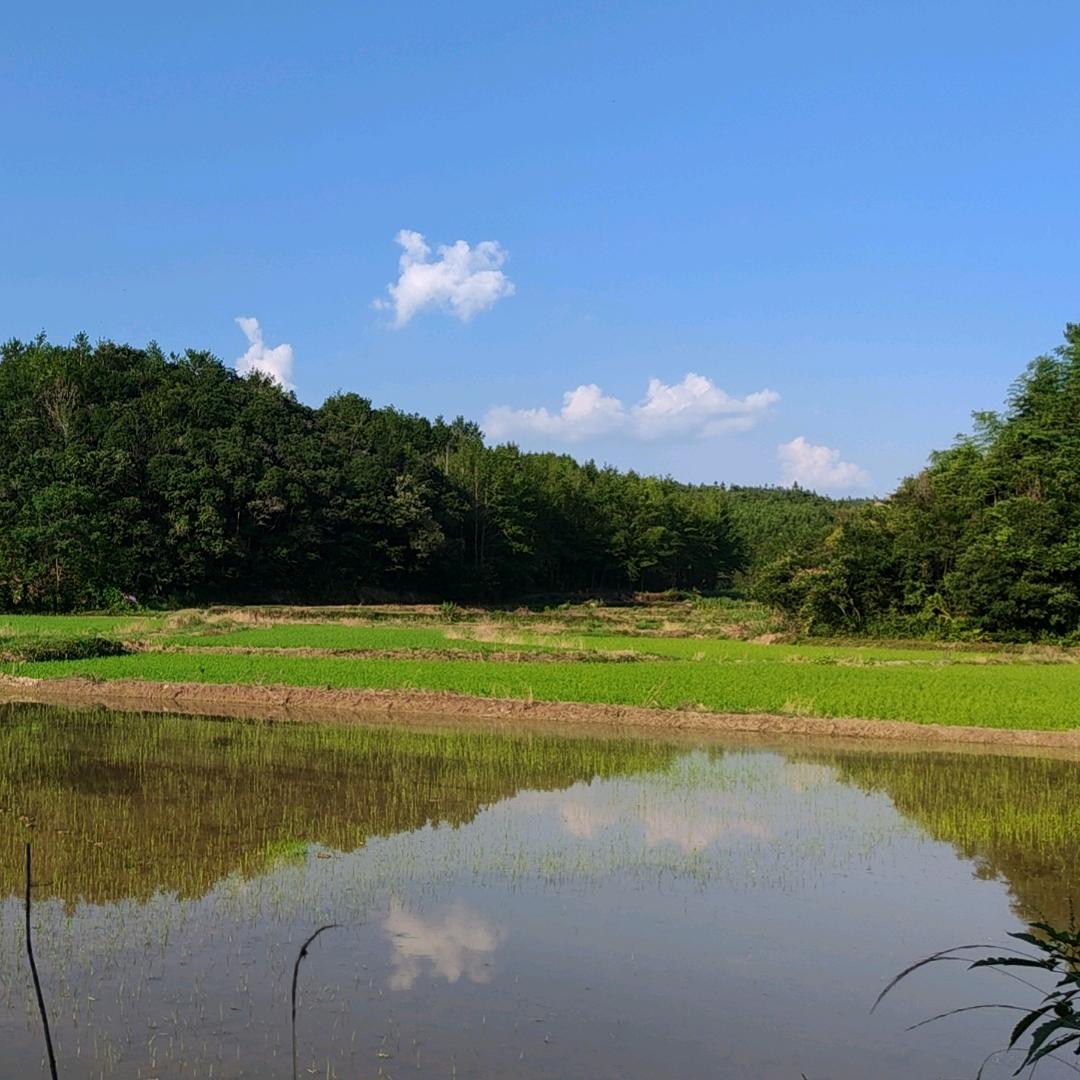 山那边的风
