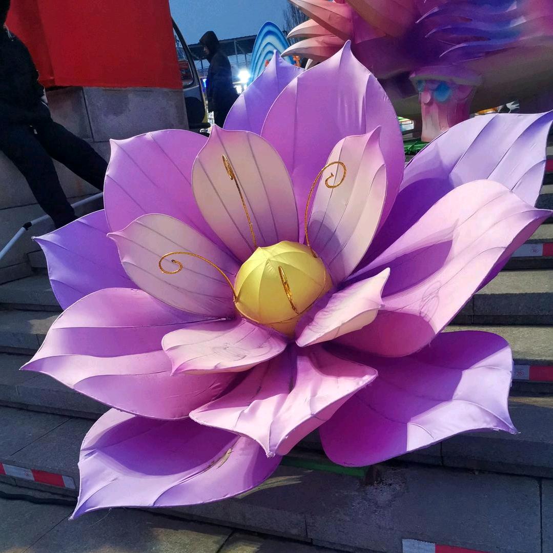 微笑🌸🌸