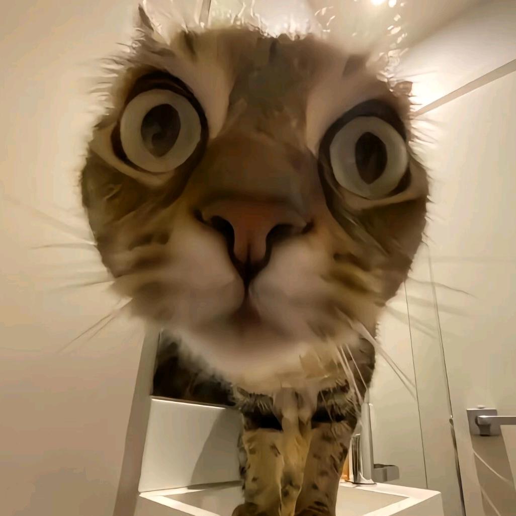 钱包
