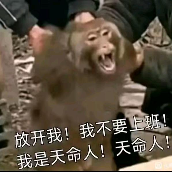 天命打工人头像