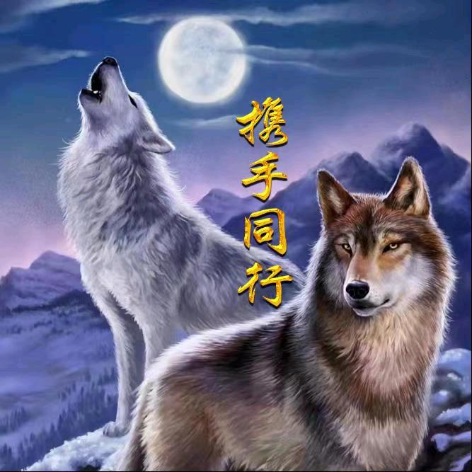 🍁携手💖同行🐾