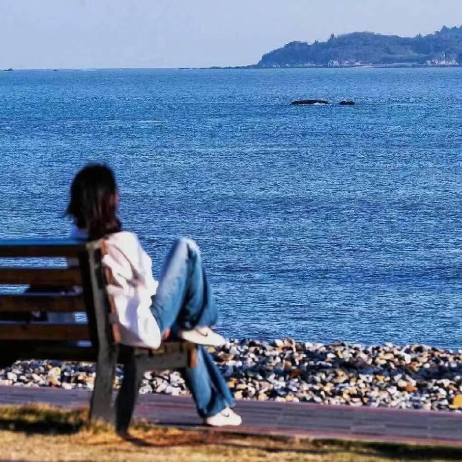 小小佳.