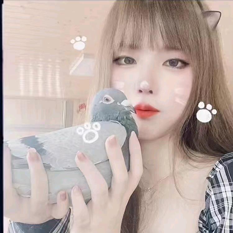 赛鸽🕊茜茜（谢谢关注）
