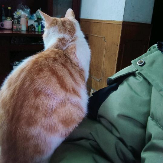 李老十