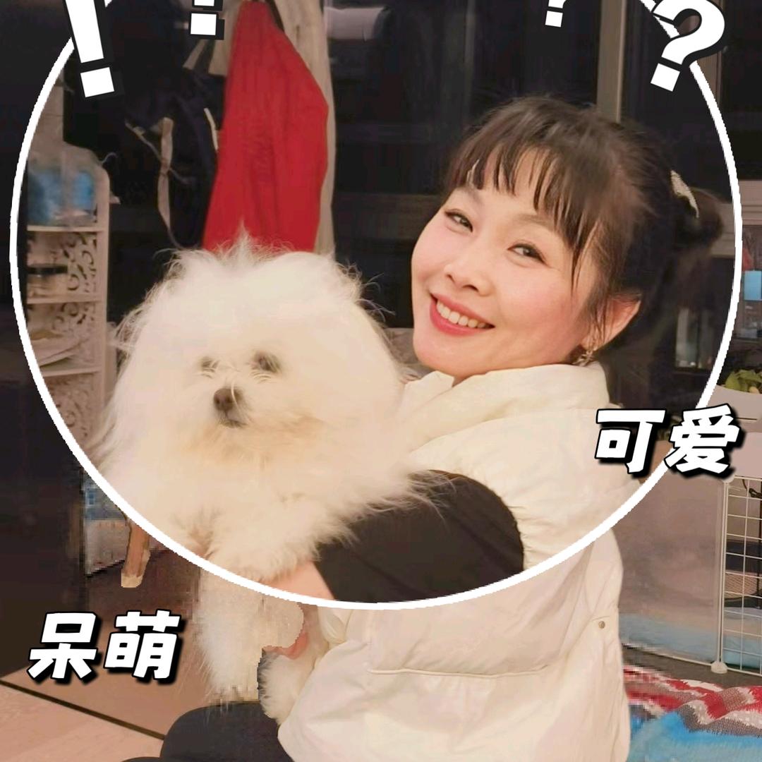 多宝