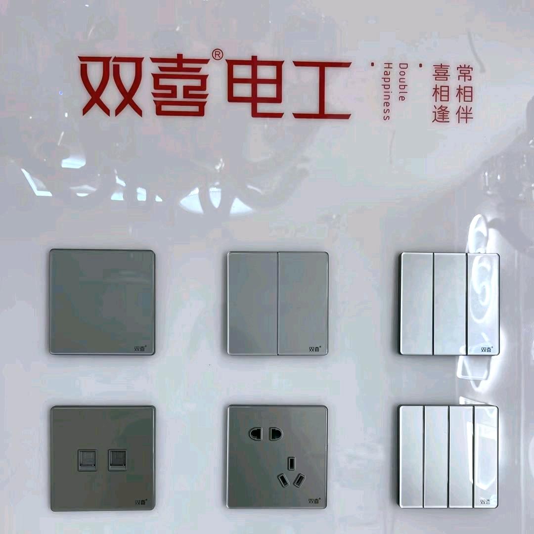 家有（双喜开关插座）