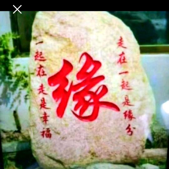 ✨老光棍💫