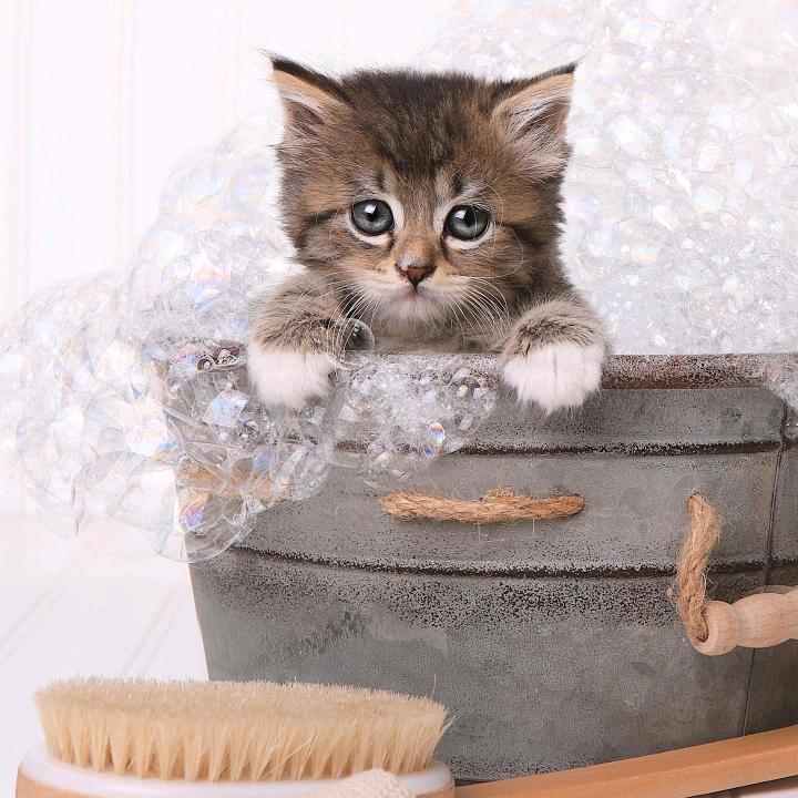 南离₍˄·͈༝·͈˄*₎◞ ̑̑🎺