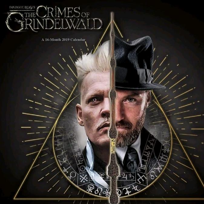 会不会有蟑螂（见过黄子版）