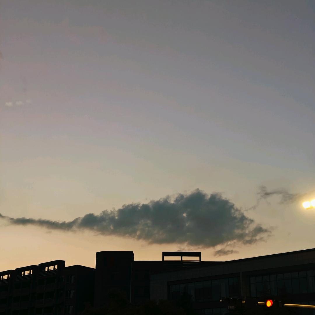 洛竹