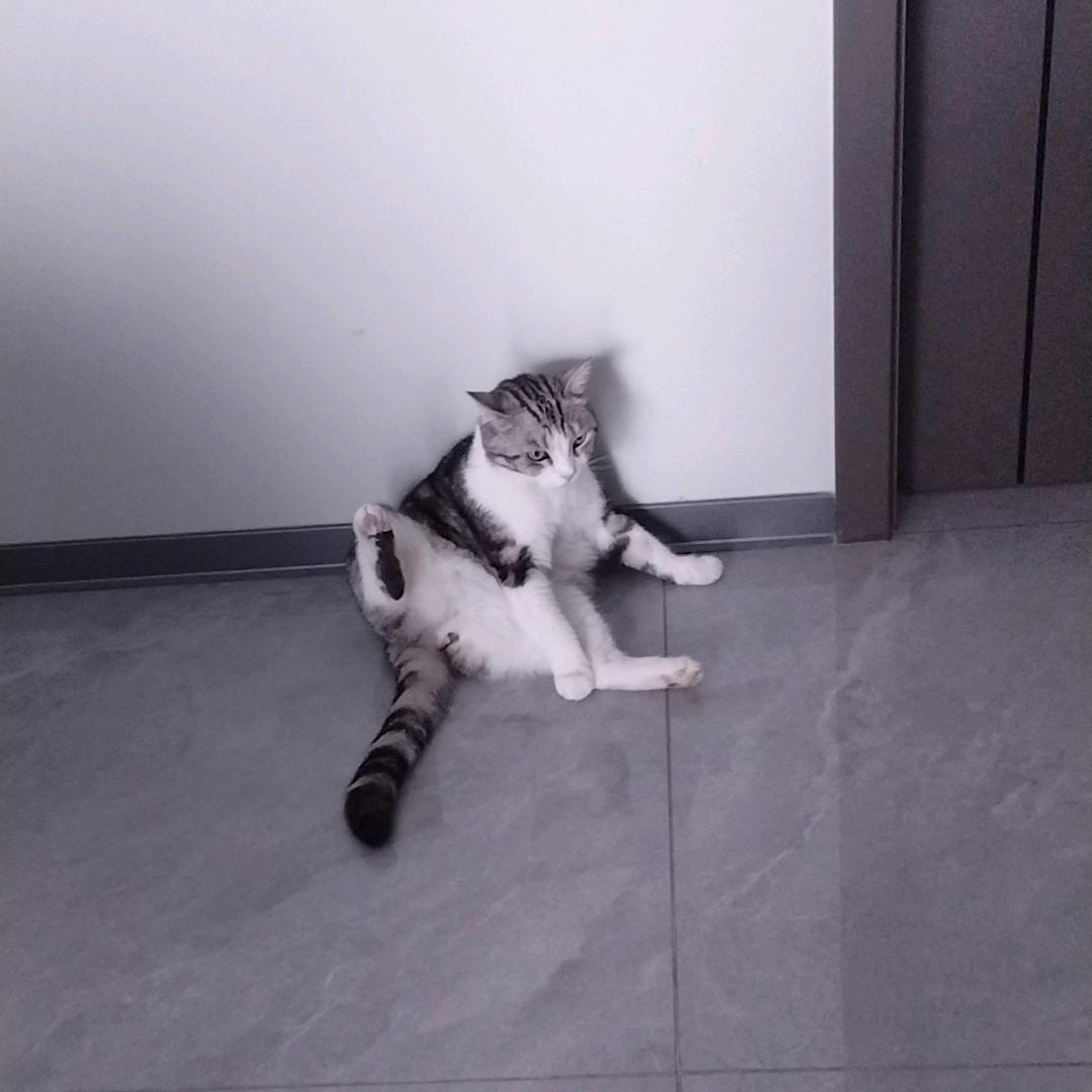 哎呦喂丶