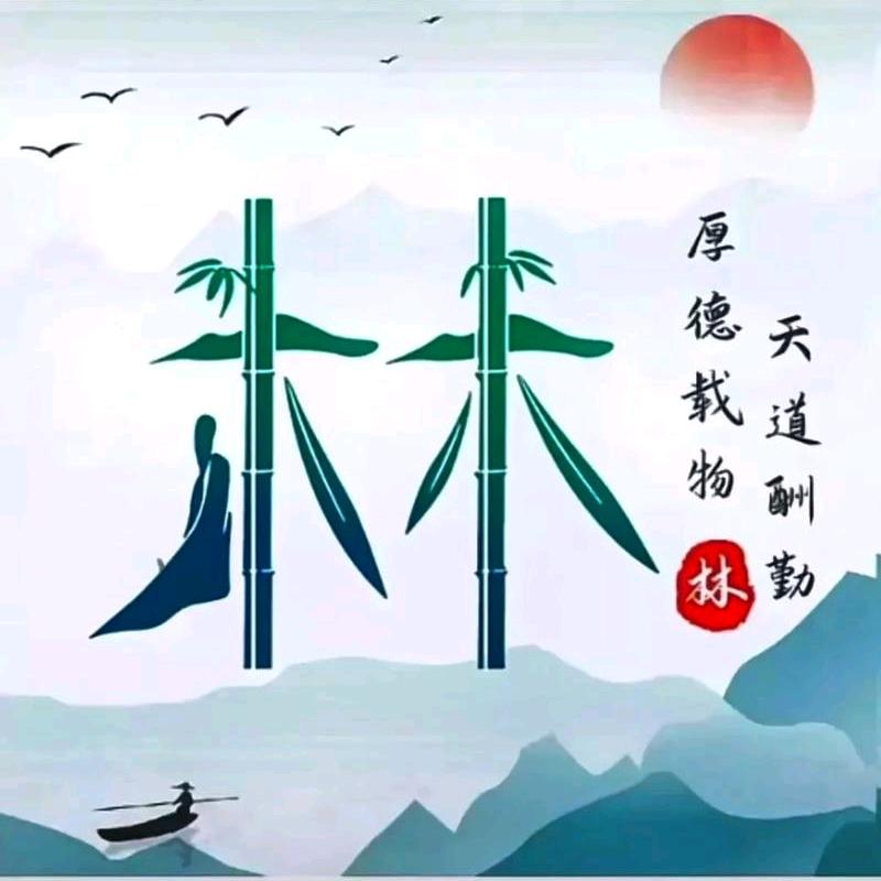 林子姐168