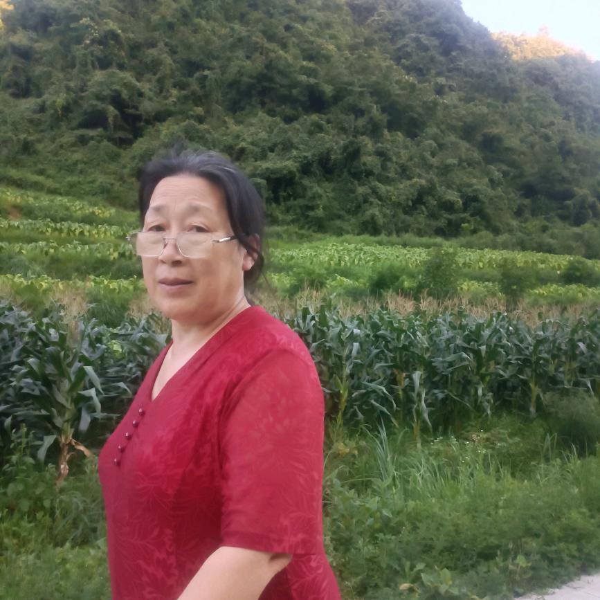 张女士