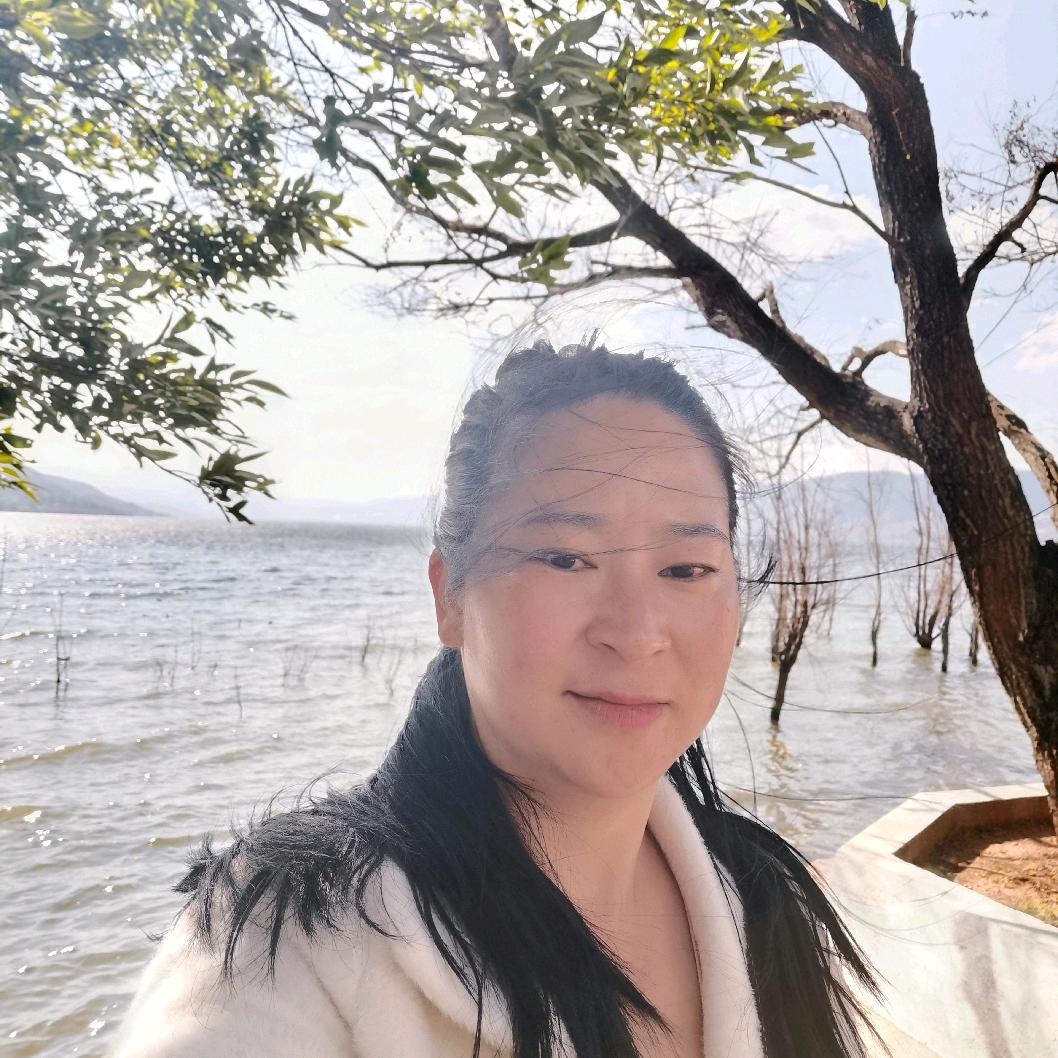 不会飞的鱼