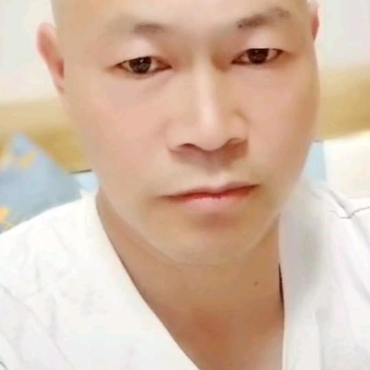 纵横……四海