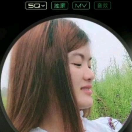 秋风不懂落叶的优伤