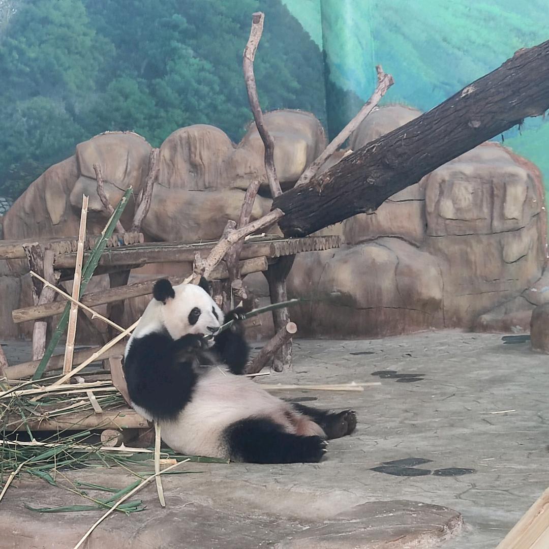 今晚不熬夜啦
