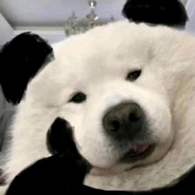 就是个人机罢了