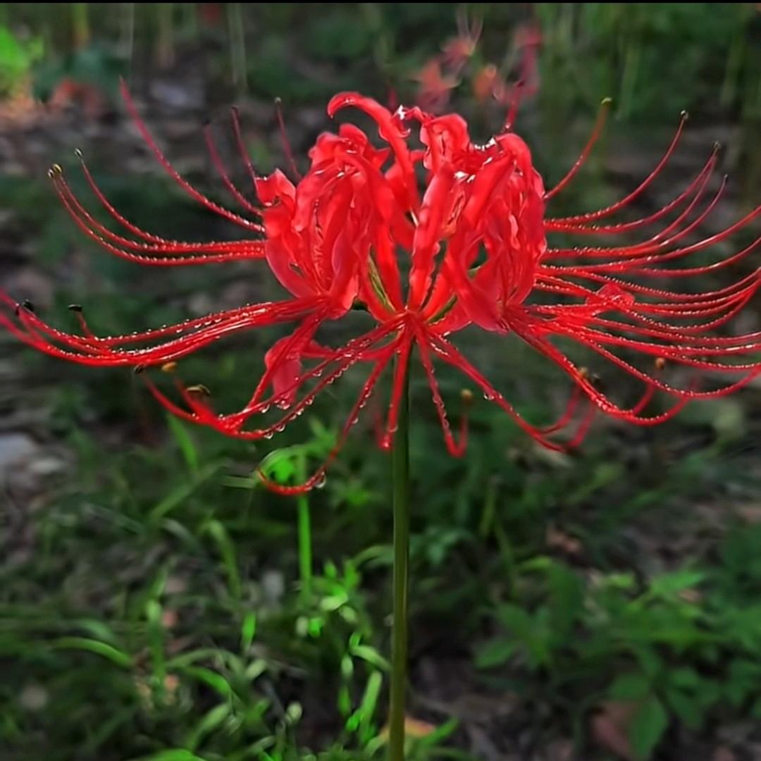 ꧔余生不将就💞