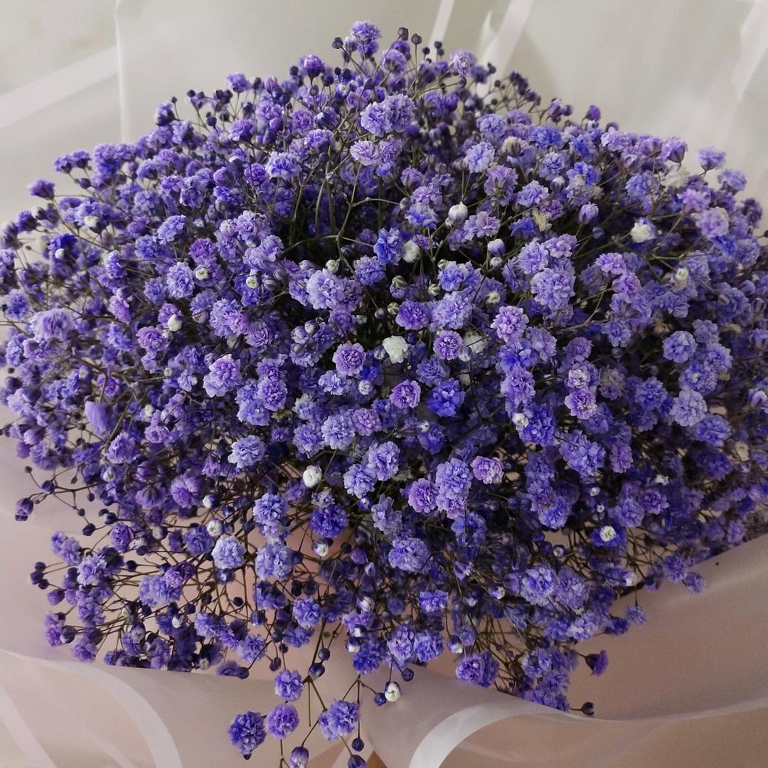 无忧小吃货（零食臻选）