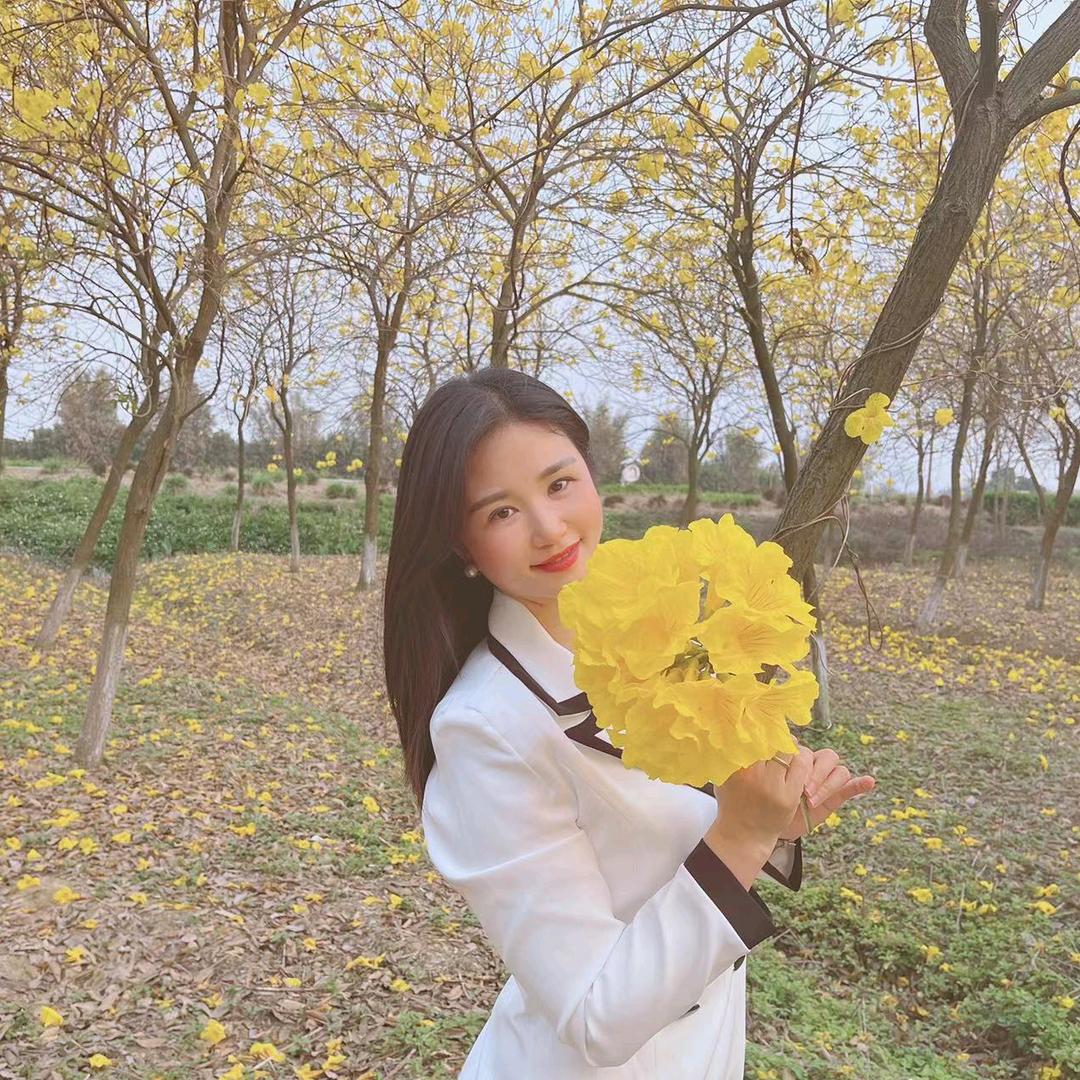 风铃花