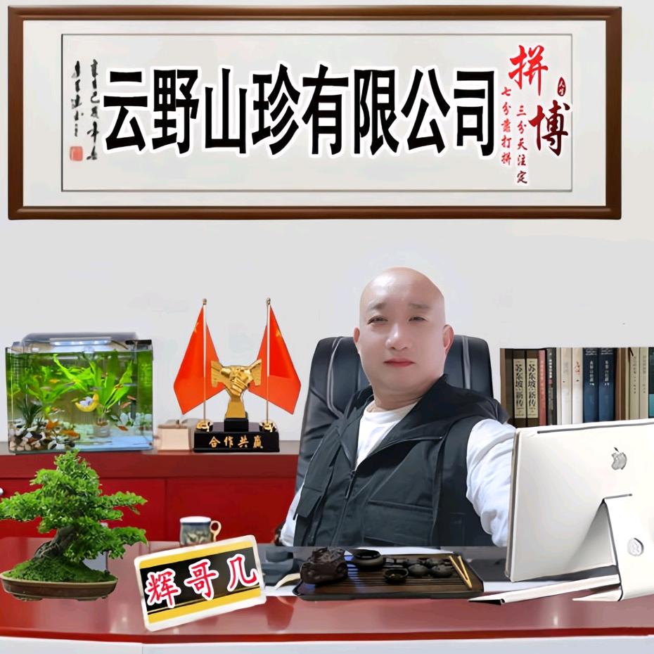 辉哥几