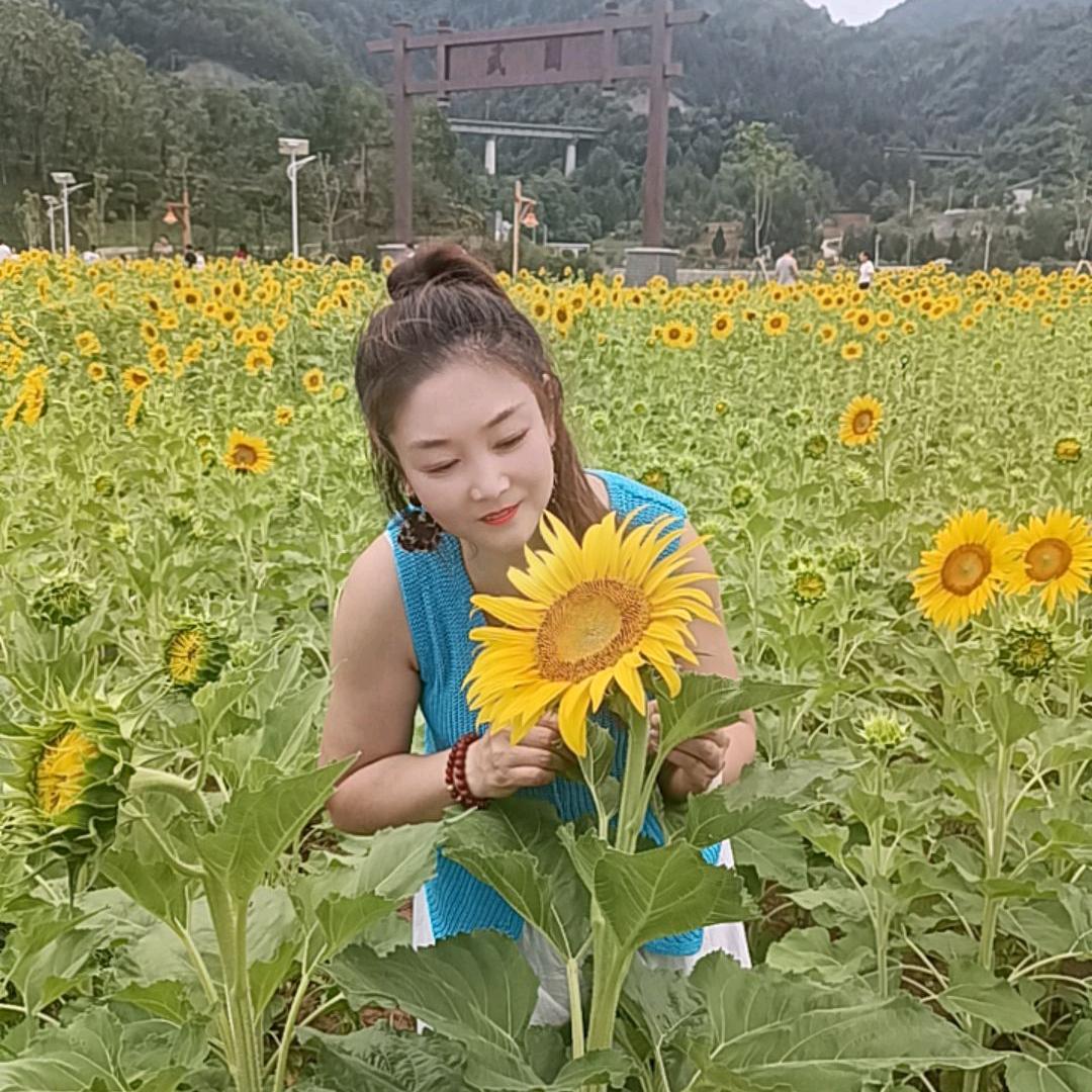 丹凤玲儿