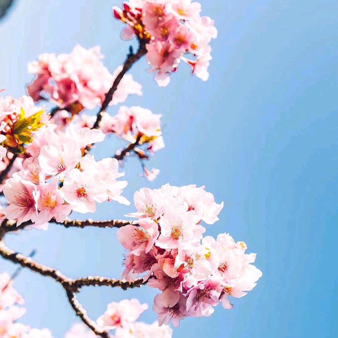 💕᭄ꦿ很幸运ོ࿆遇见你᭄S   Q🕊