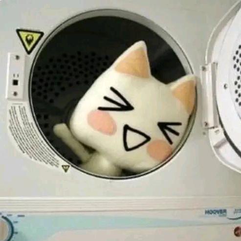 再赌我就是狗