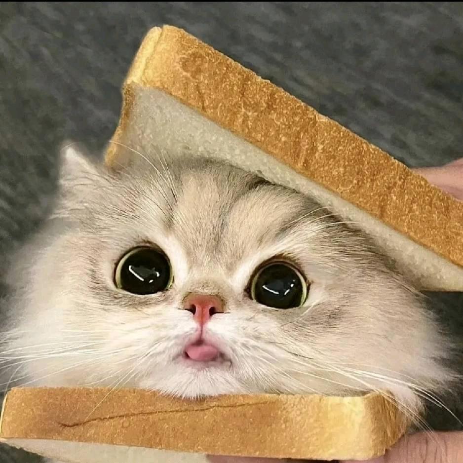 一个小小的鱼头怪