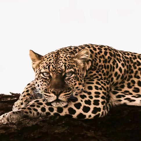 那一頁.(求不被下头贱男女骚扰教程)